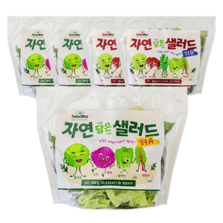 자연 담은 샐러드 실속A