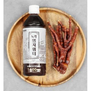 녹각영지워터