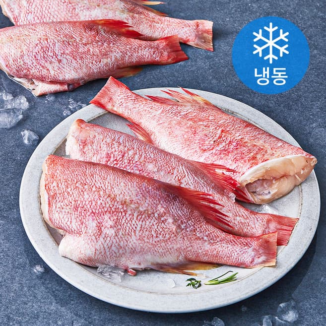 송도씨 포르투갈 손질 장문볼락