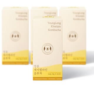 영롱 케이멜라인 콤부차