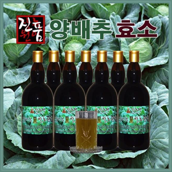 양배추효소추출액
