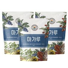 참마 가루
