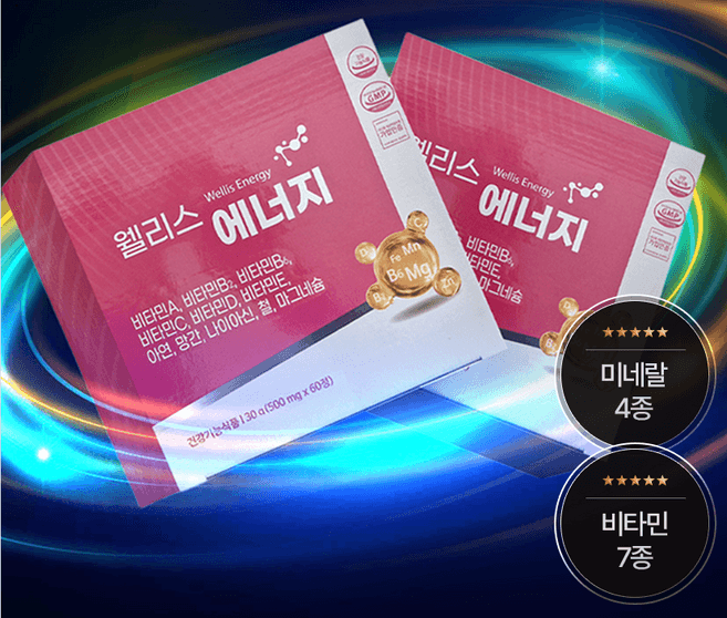 웰리스에너지
