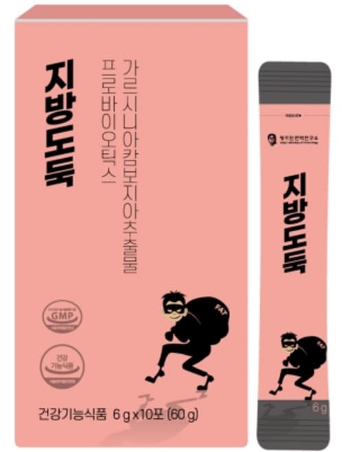 지방도둑