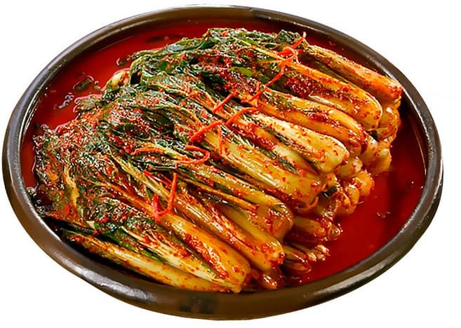 이종임의 얼갈이김치