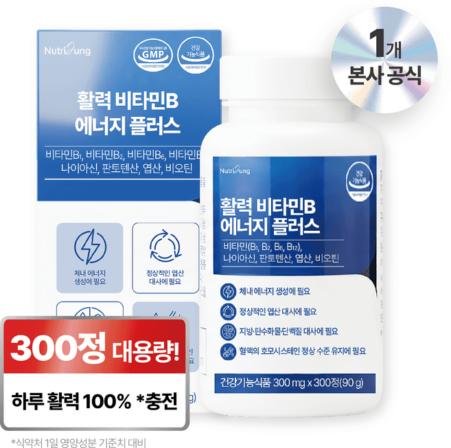 비타잉 지속성 비타민B 에센셜