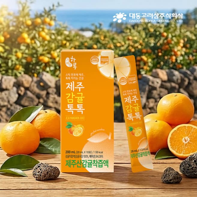 가벼운하루 제주감귤톡톡