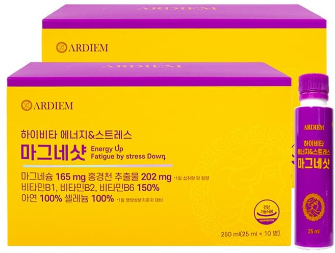 마그네 비타킹