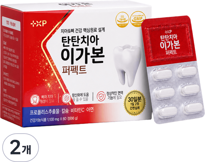 탄탄치아 이가본 퍼펙트