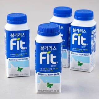 불가리스 핏 플레인