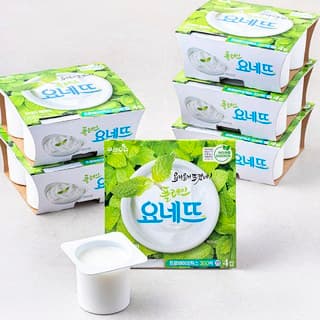 요네뜨 플레인