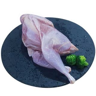 중국산{꿩고기}