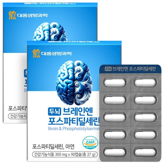 두뇌 브레인엔 포스파티딜세린