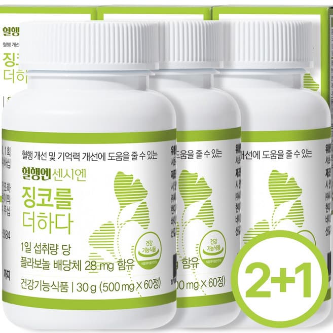 징코를 더하다