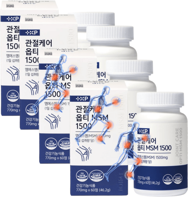관절연골 및 근력엔 연관보