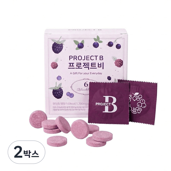 프로젝트 비