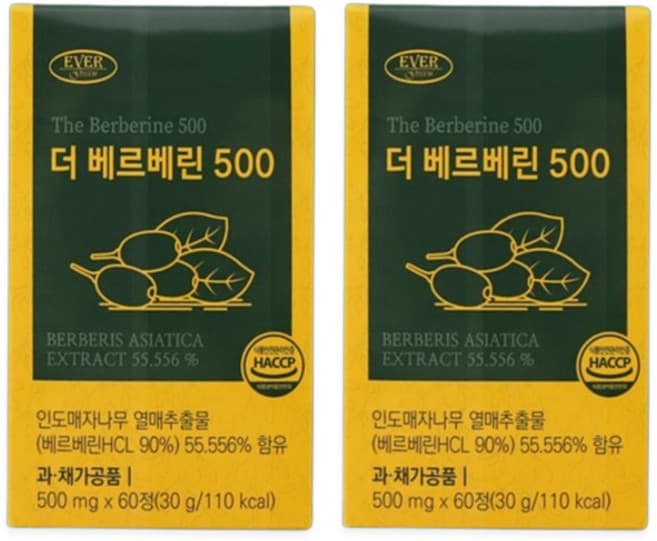 더 베르베린 500