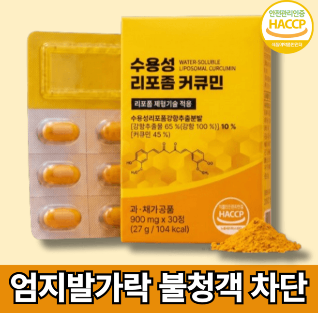 수용성 리포좀 커큐민