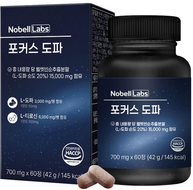 포커스 도파